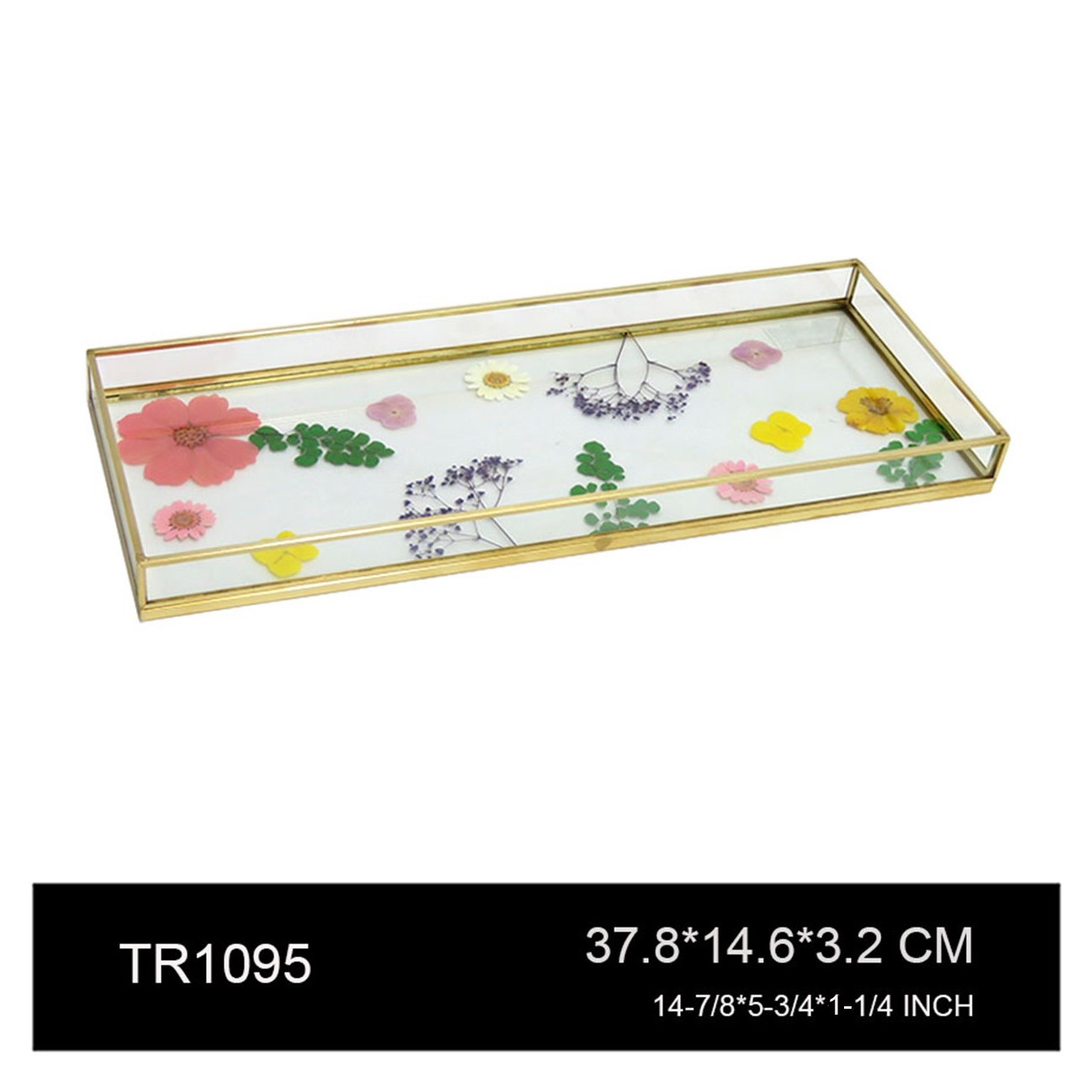 TR1095